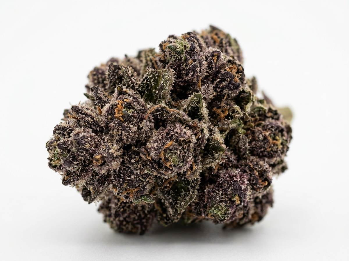 Purple Kush