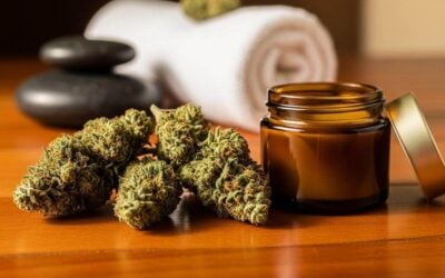 Muscle Recovery After a Vegas Trip: Can Indica Help?